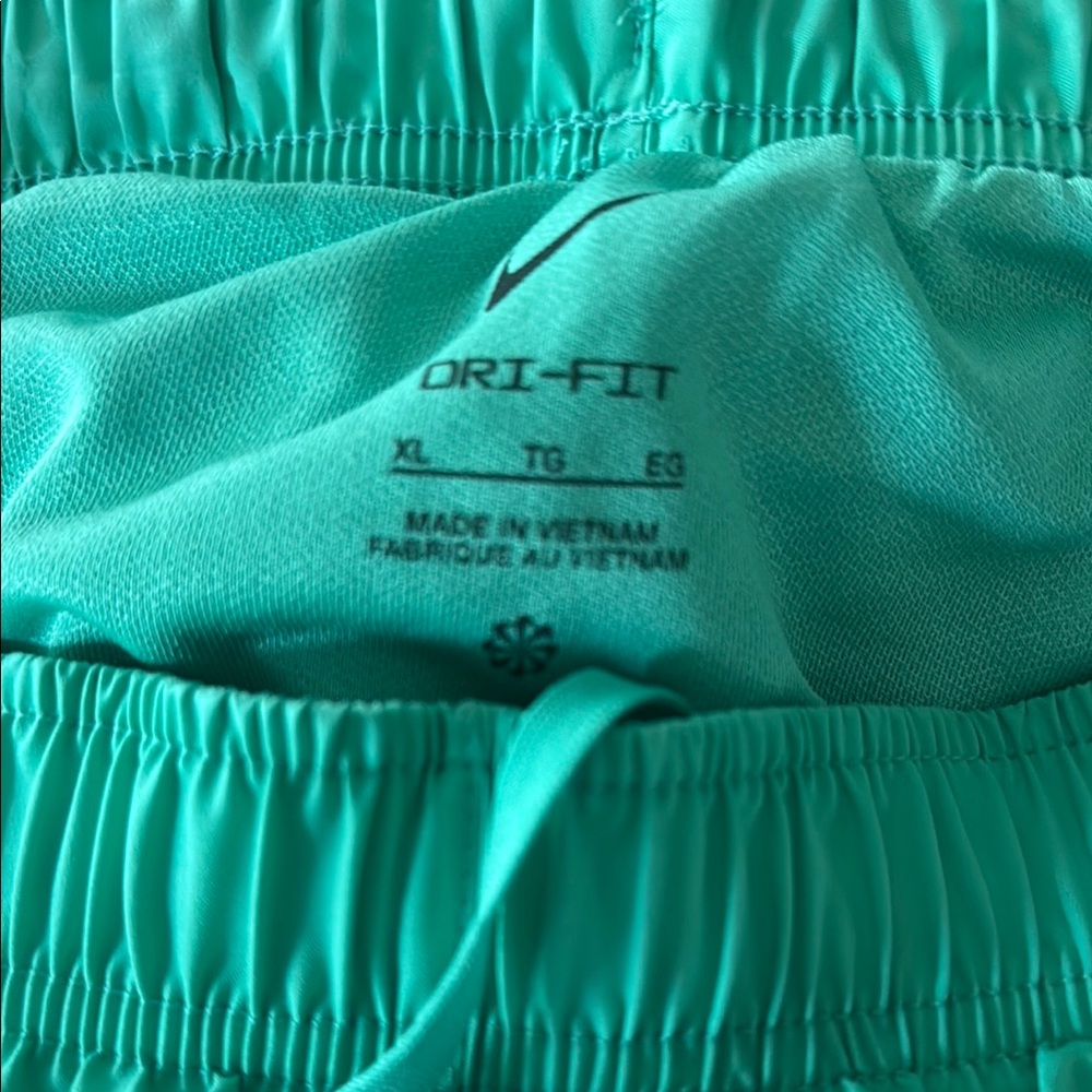 Nike Women's Teal Athletic Shorts